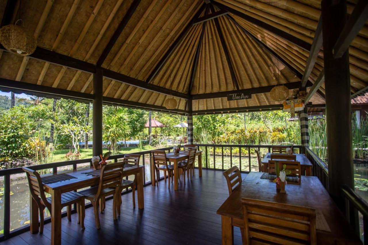Villa Uma Ayu Sidemen Sidemen  Εξωτερικό φωτογραφία